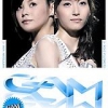 [DVD] GAM 1stコンサートツアー2007初夏 ~グレイト亜弥&美貴~ (2007.08.29/ISO/6.64GB ...