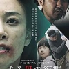 [韓国映画] ある母の復讐 (チャン・ヨンナム/マ・ドンソク/BDRip/MKV/5.17GB) ...